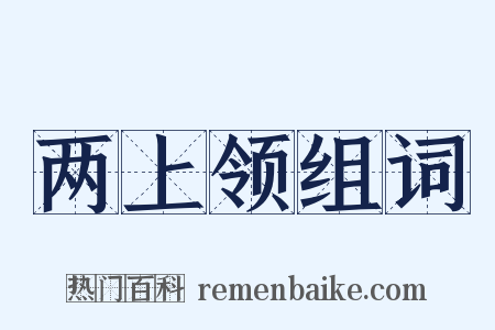 两上领组词是什么意思的图片